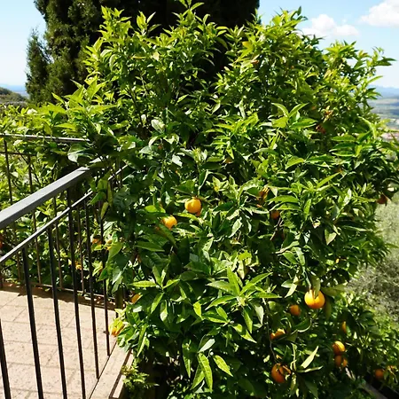 Casa Limone Holiday home