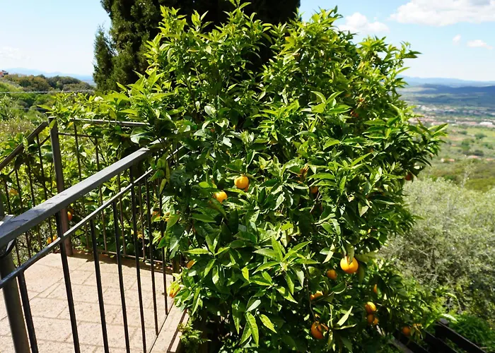 Casa Limone 別荘