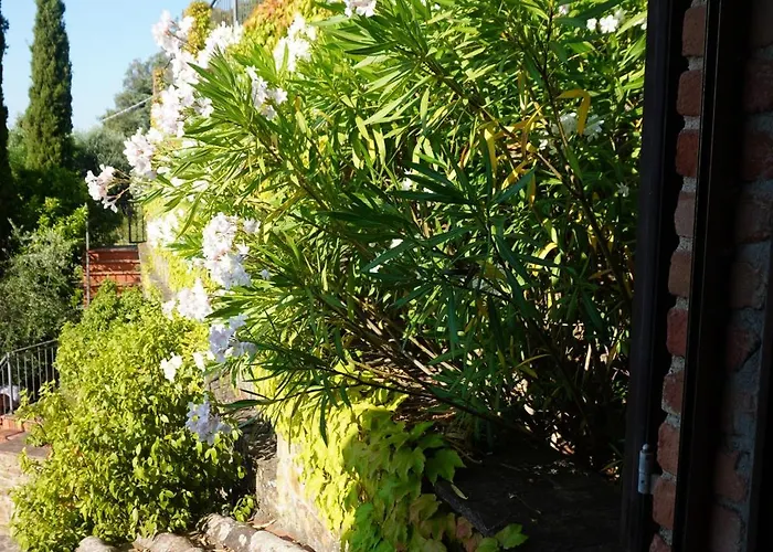 Casa Limone *